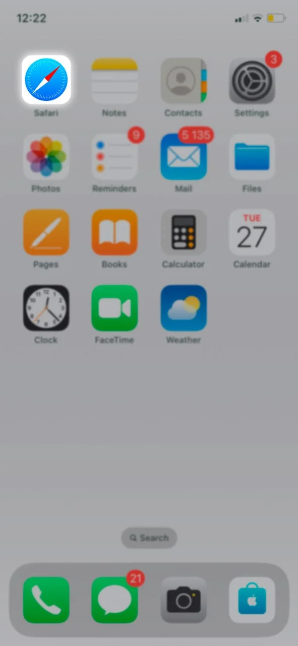 Click on the Safari browser icon and open the BC Game casino website.