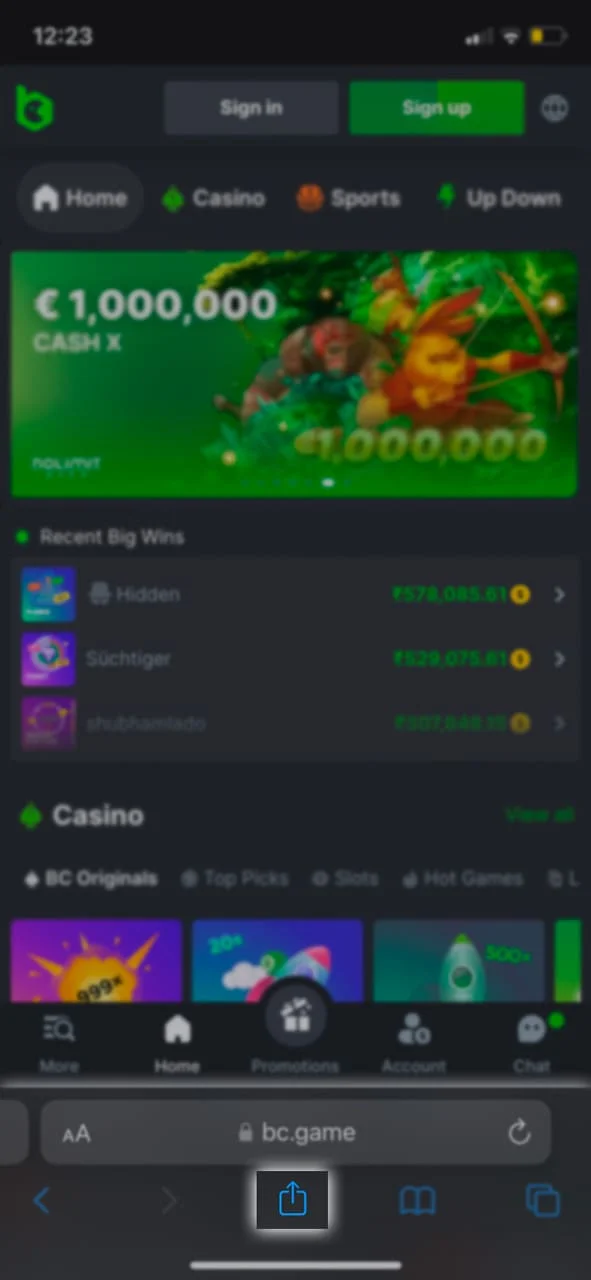 Use the share button at the bottom of the screen to install the BC Game Crash app for iOS.