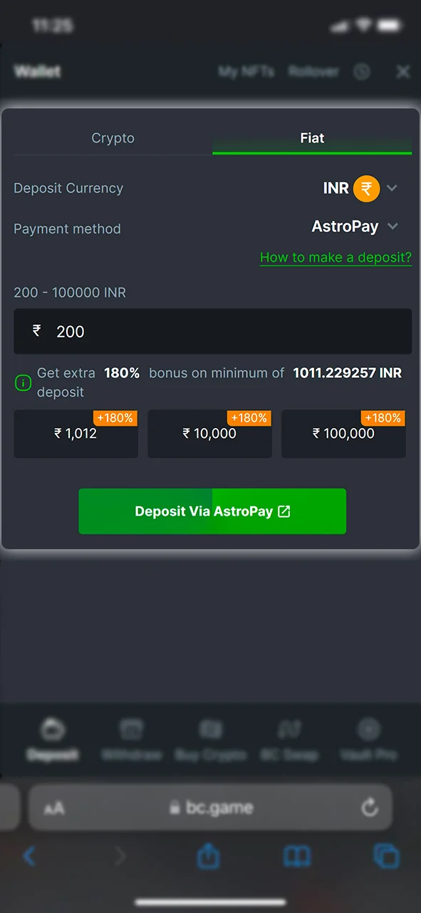 Choose a convenient payment method for you and top up your BC Game account.