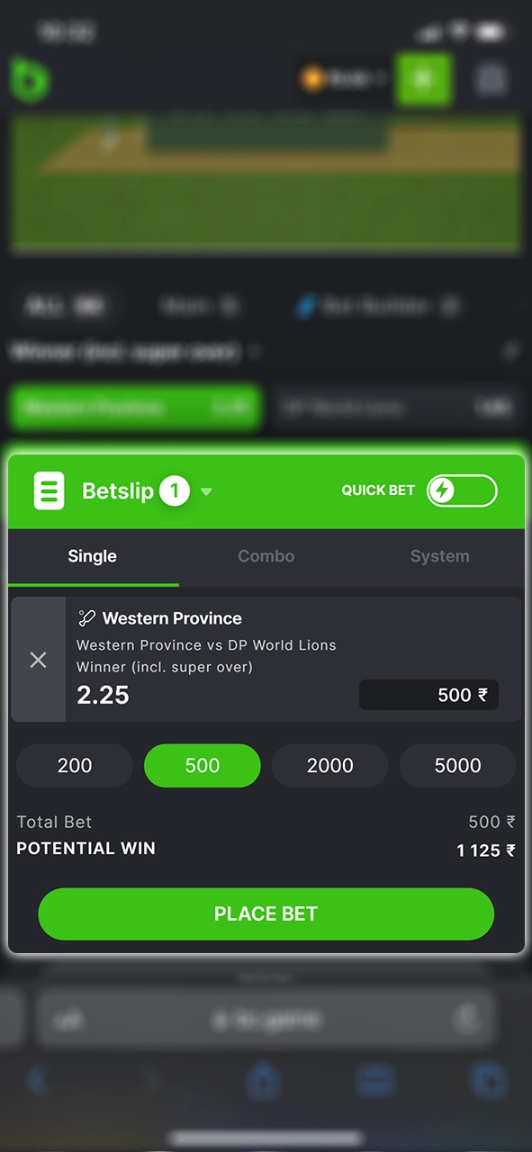 Enter the amount and confirm the bet at BC Game.